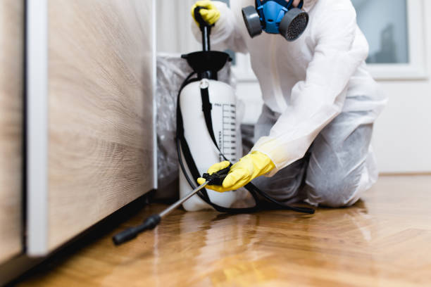 Best Termite Control Services  in Bronx, NY