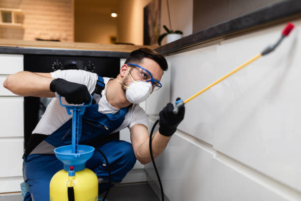 Best Cockroach Control Services  in Bronx, NY