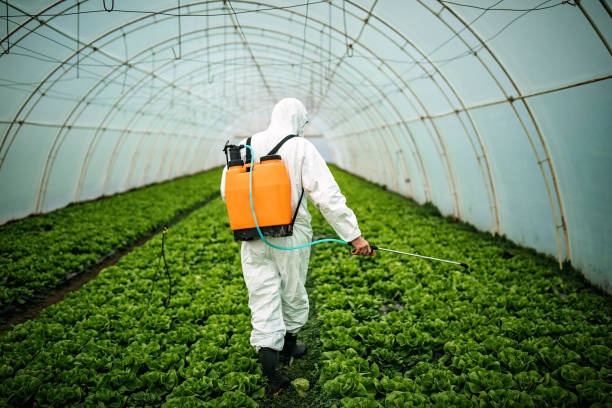 Best Affordable Pest Control Services  in Bronx, NY