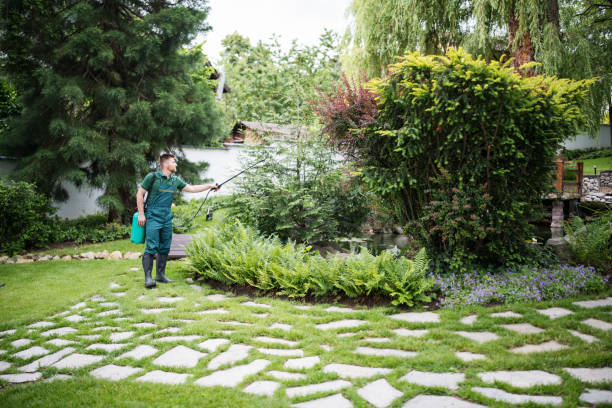 Best Wildlife Control Services  in Bronx, NY