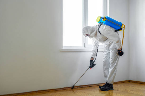 Best Pest Control for Homes  in Bronx, NY