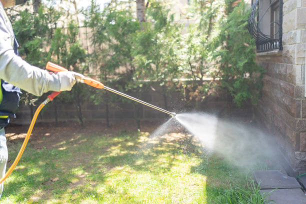 Flea Control Services in Bronx, NY